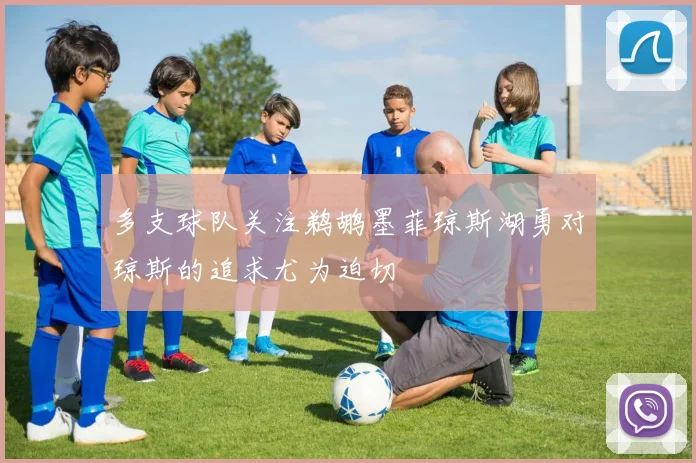 多支球队关注鹈鹕墨菲琼斯湖勇对琼斯的追求尤为迫切