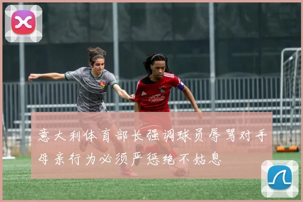 意大利体育部长强调球员辱骂对手母亲行为必须严惩绝不姑息