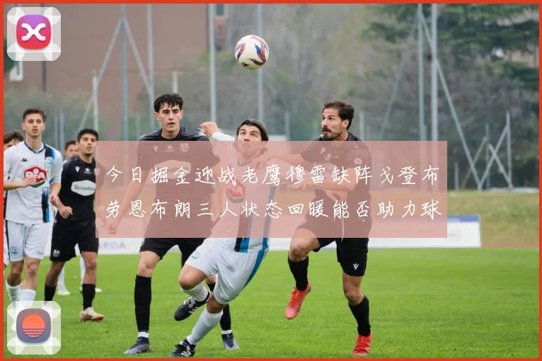 今日掘金迎战老鹰穆雷缺阵戈登布劳恩布朗三人状态回暖能否助力球队取胜